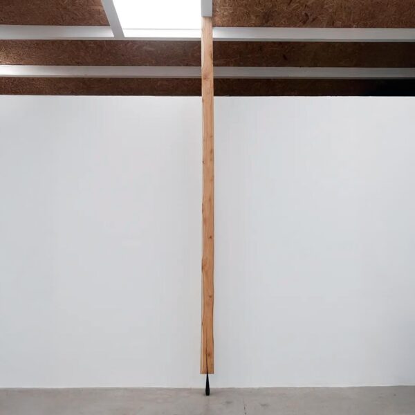 Columna