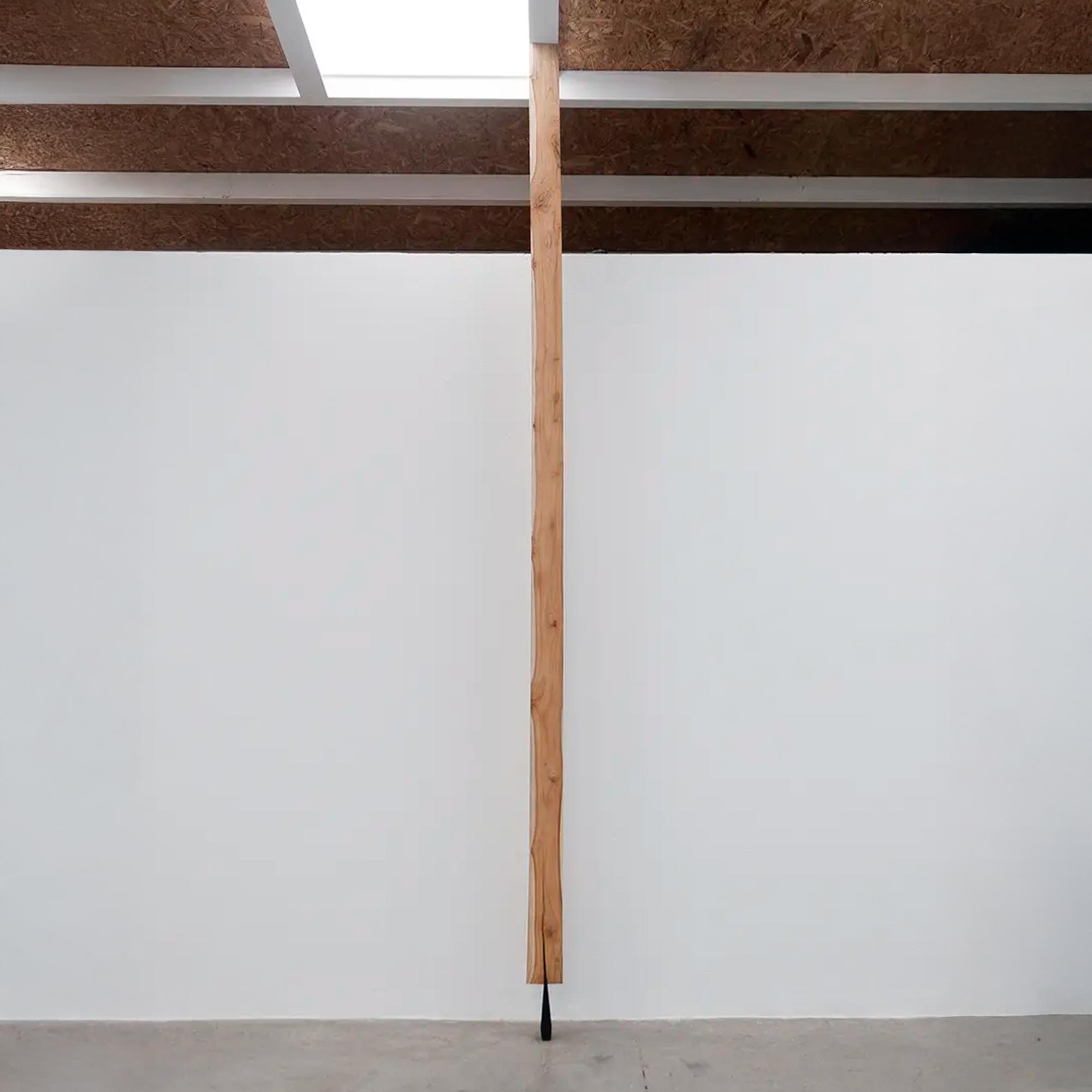 Columna