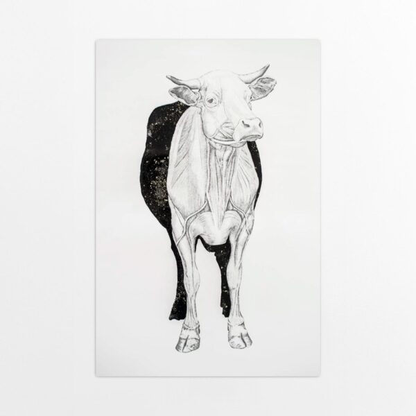 Hathor