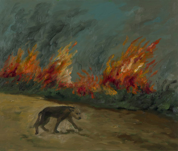 Apuntes para el bosque en llamas #8