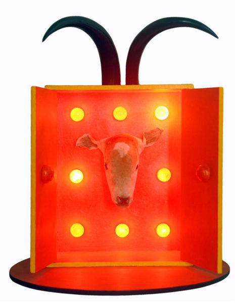 Caja mágica con el ternero felizmente siendo expuesto con la luz y el dedo de su amigo