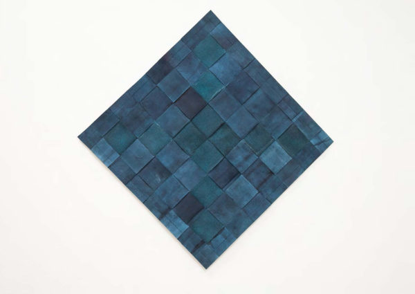 Indigófera