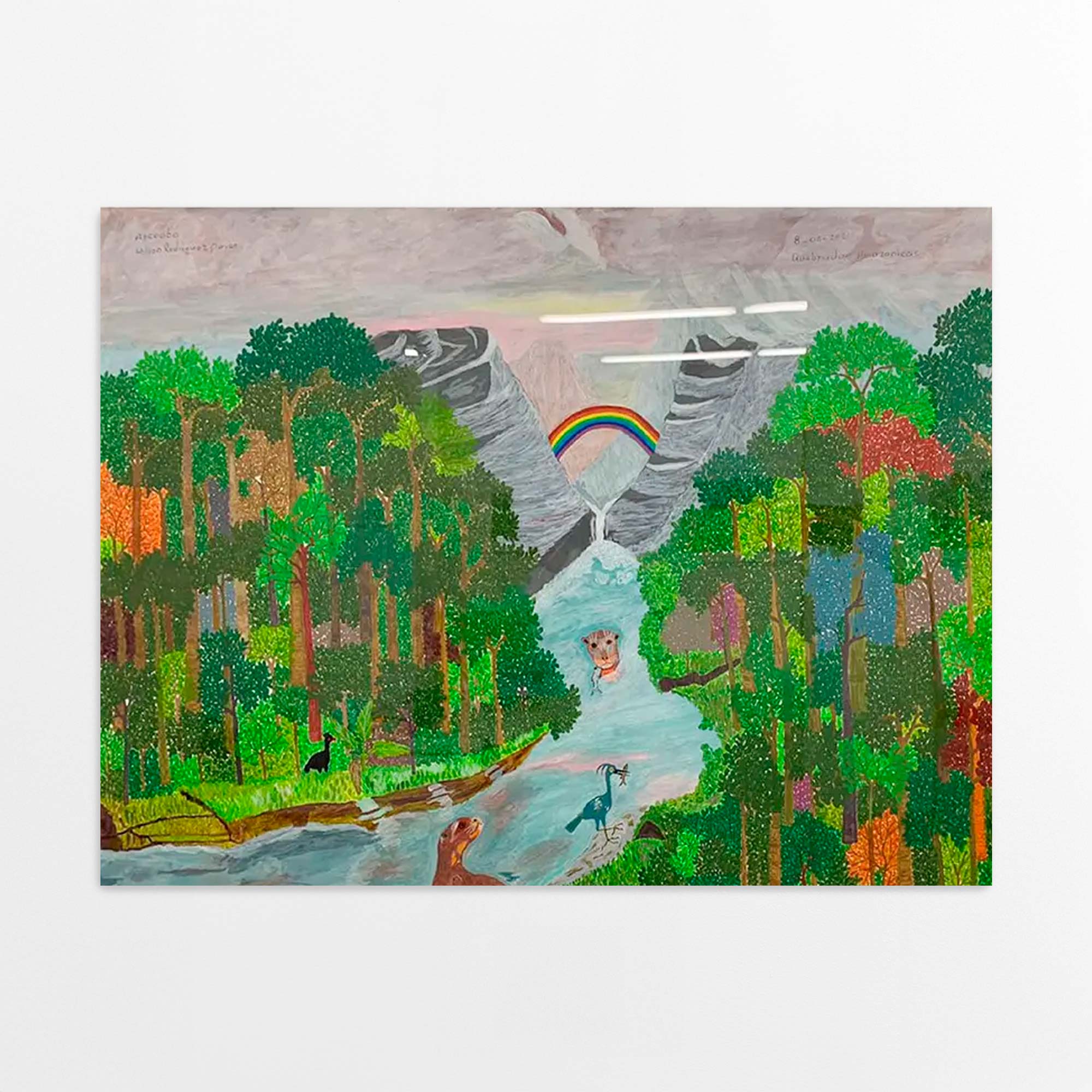 Quebradas Amazonicas