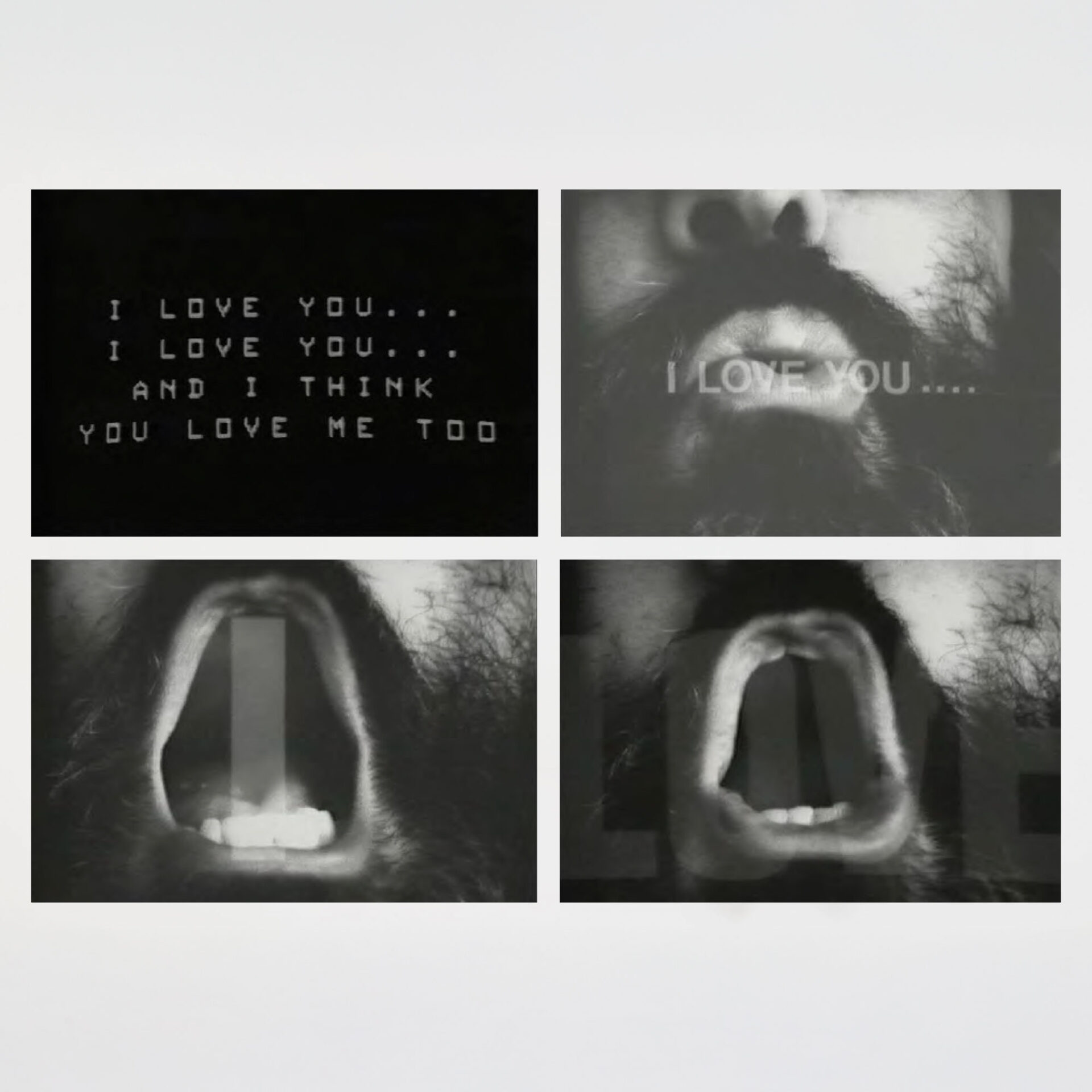 I Love You, I Love You and I Think You Love Me too