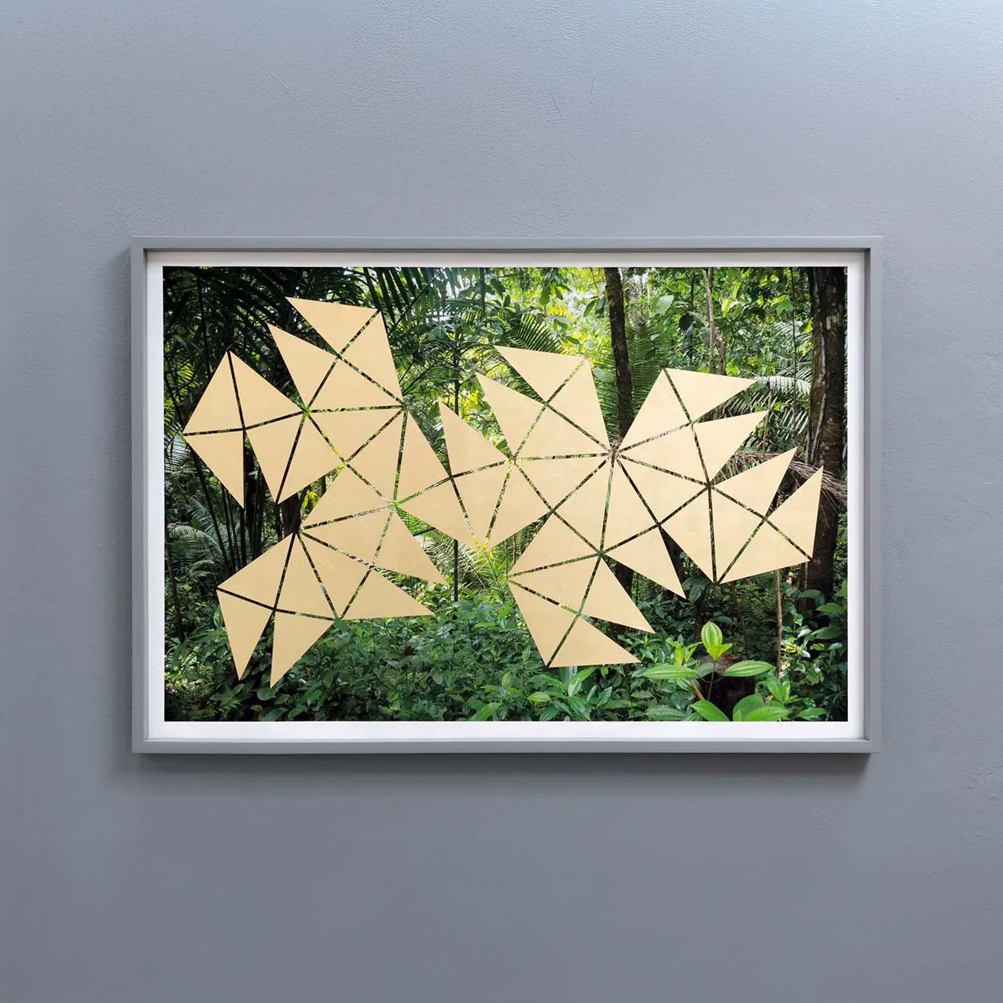 Selva intervenida II (Pacífico, Colombia)