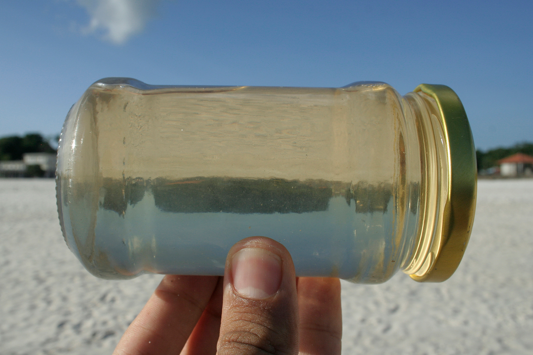 Agua del Pacífico