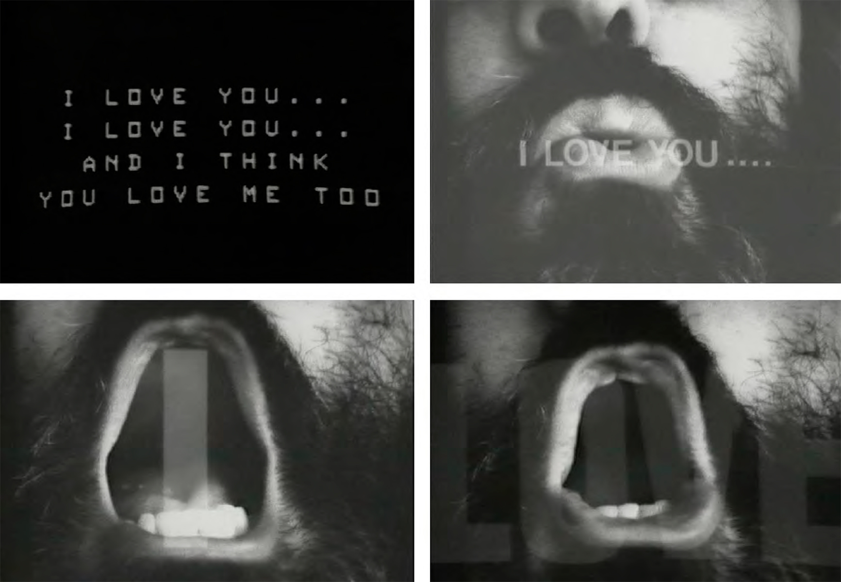 I Love You, I Love You and I Think You Love Me too