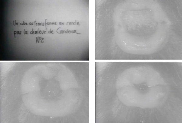 Un cube se transforme en cercle par la chaleur de Cardena no. 2