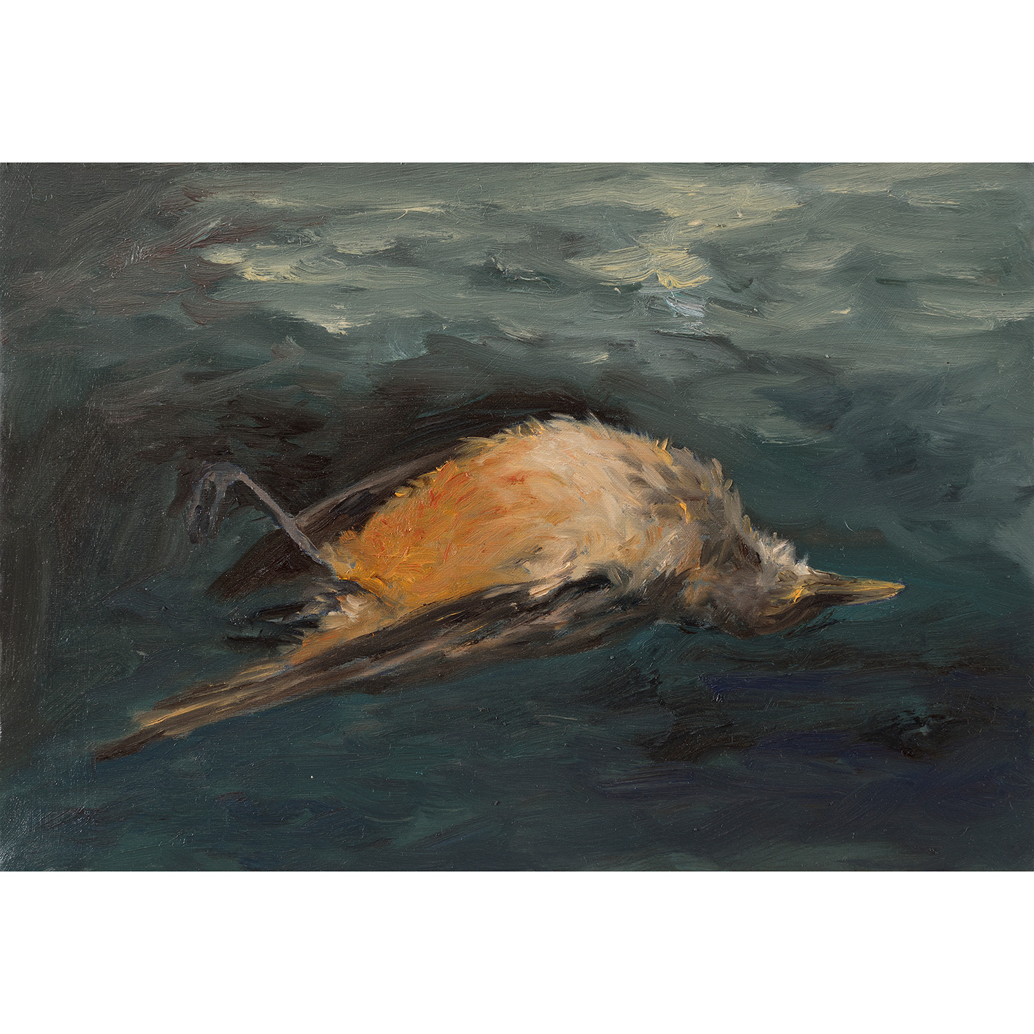 Polinizadores dormidos #5