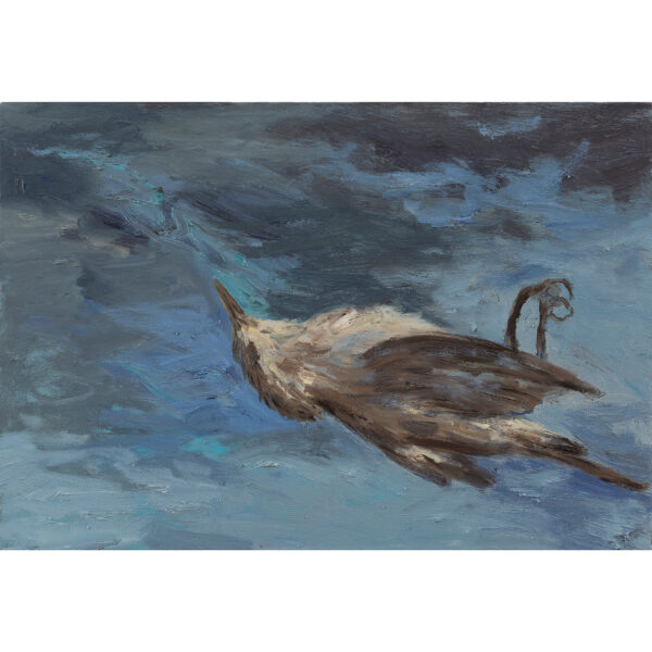 Polinizadores dormidos #4