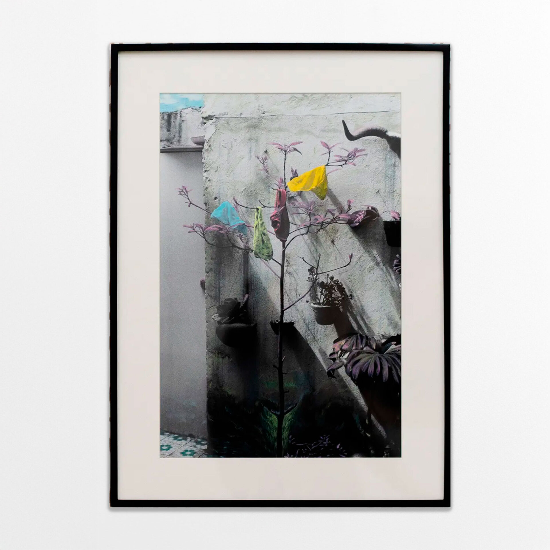 Interiores II