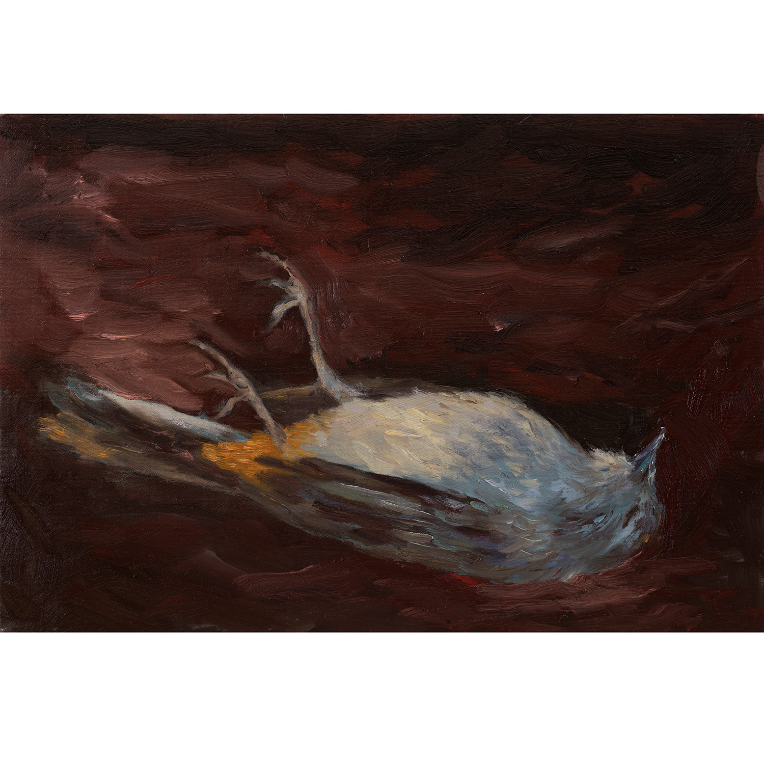 Polinizadores dormidos #1