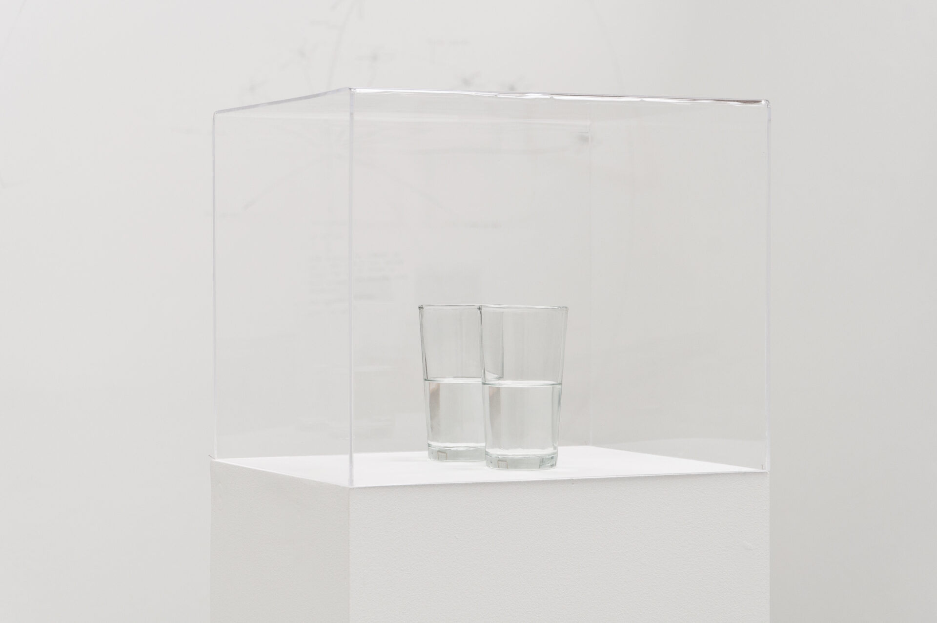 Two Glasses with Magnetized Water