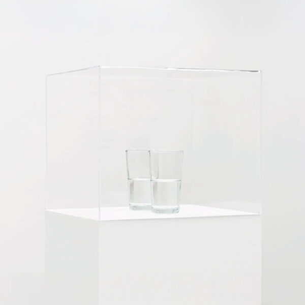 Two Glasses with Magnetized Water