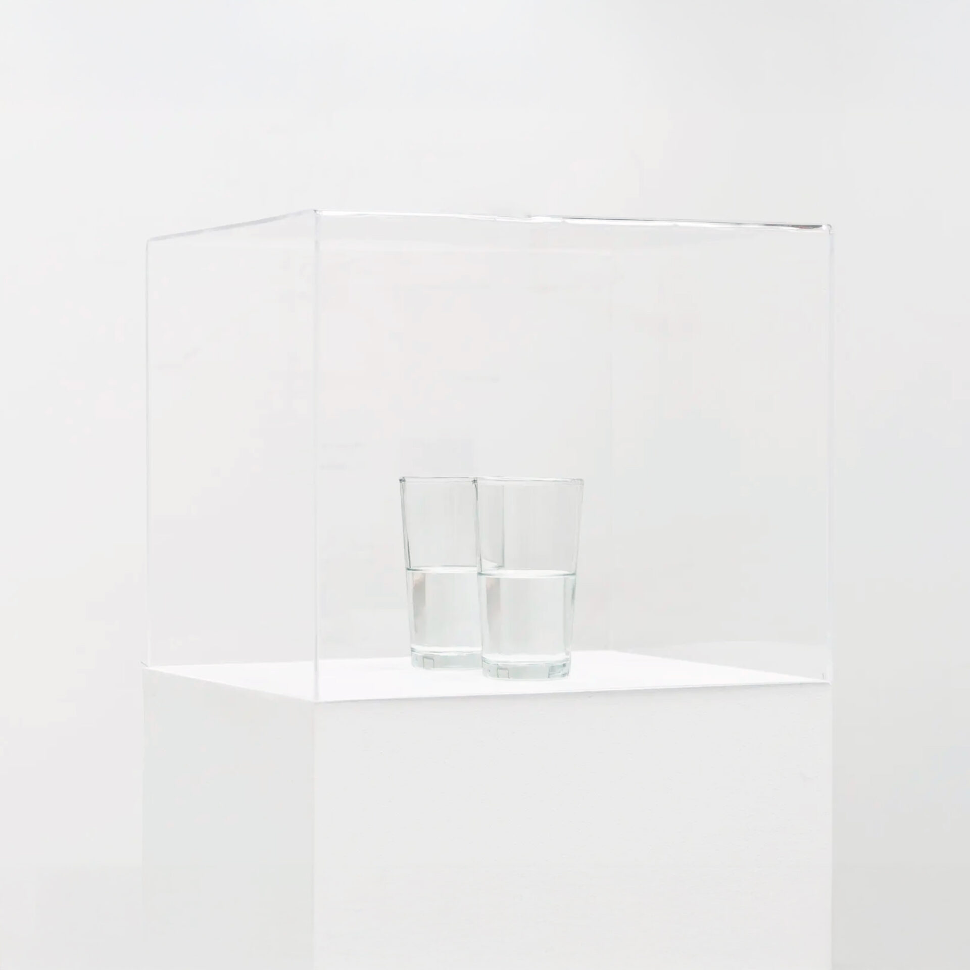 Two Glasses with Magnetized Water