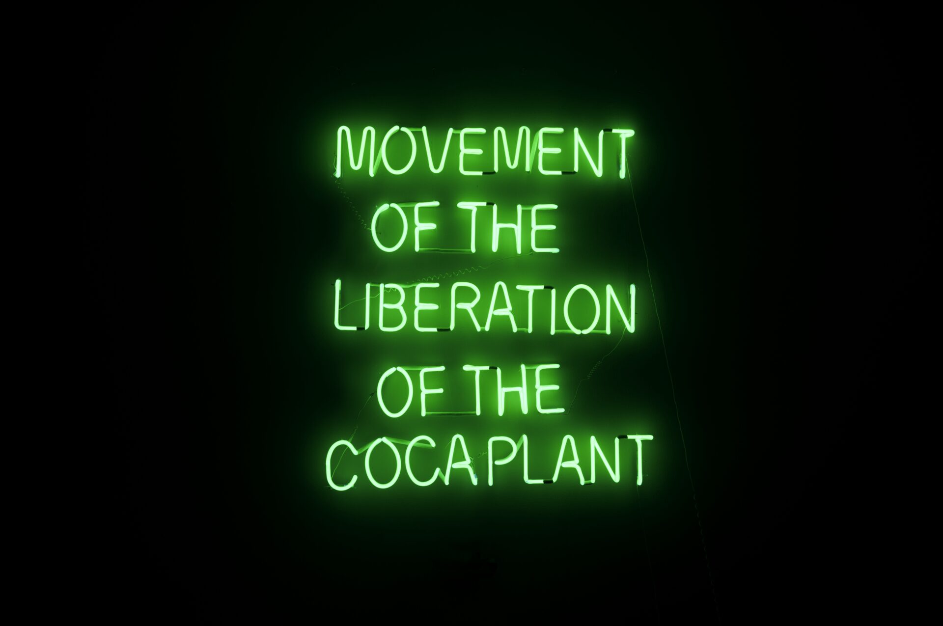 Movement of the liberation of the coca plant