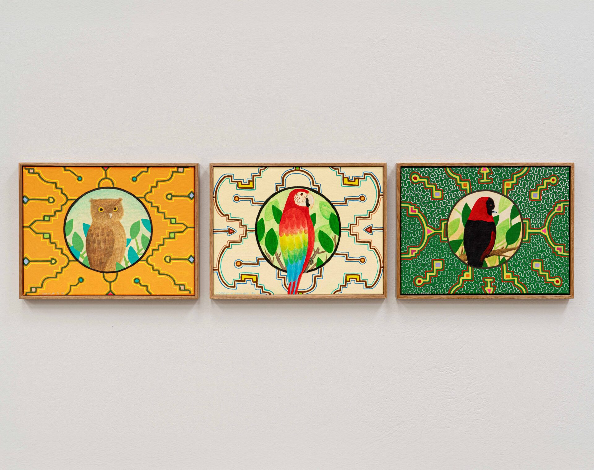 Búho mensajero, Guacamayo y Tangara
