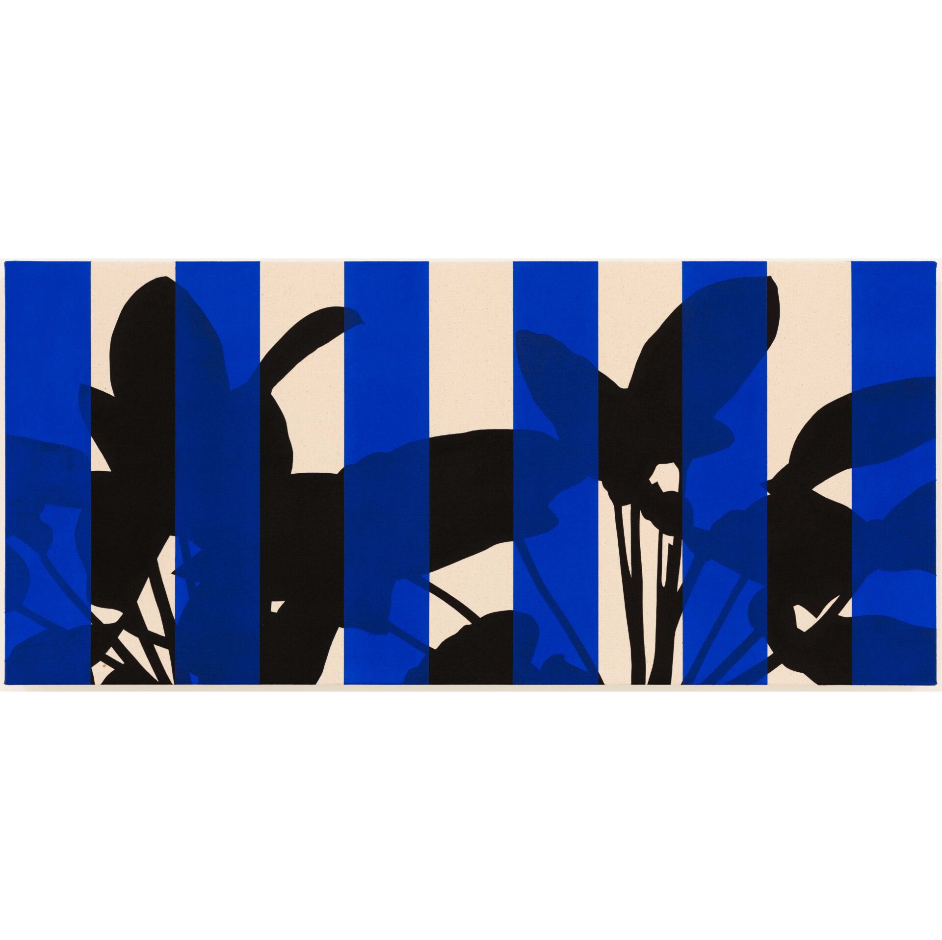 Philodendron Rojo Congo (Blue)