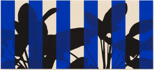 Philodendron Rojo Congo (Blue)